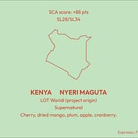 Kenya Nyeri